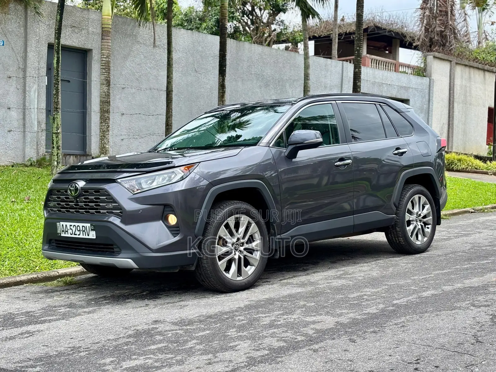 Toyota RAV4 Limited AWD 2020 Gris