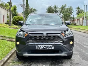 Toyota RAV4 Limited AWD 2020 Gris