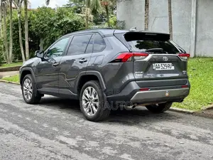 Toyota RAV4 Limited AWD 2020 Gris
