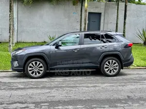 Toyota RAV4 Limited AWD 2020 Gris