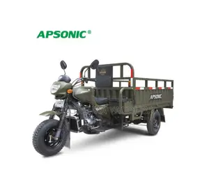 Photo - New Apsonic AP200ZH-VIP 2023 Vert