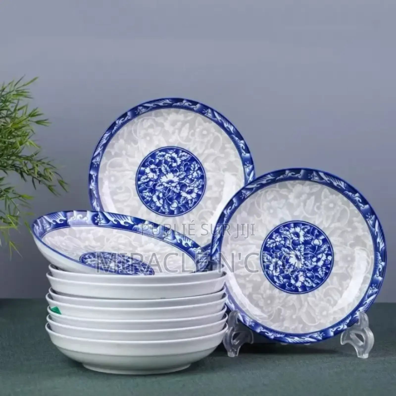 10 Assiette en Porcelaine