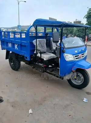 New Tricycle Ihemas 2023 Bleu