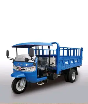 New Tricycle Ihemas 2024 Bleu