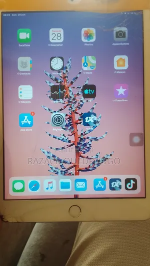 Photo - Pomme iPad mini 3 16 GB Gris