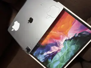 Photo - Pomme iPad Pro 12.9 (2020) 256 GO Gris