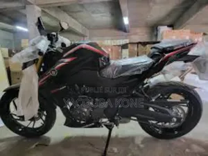 Neuf Haojue DR300 2024 Noir