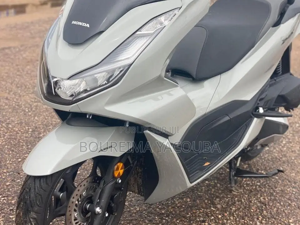 New Honda Hornet 2024 Gris