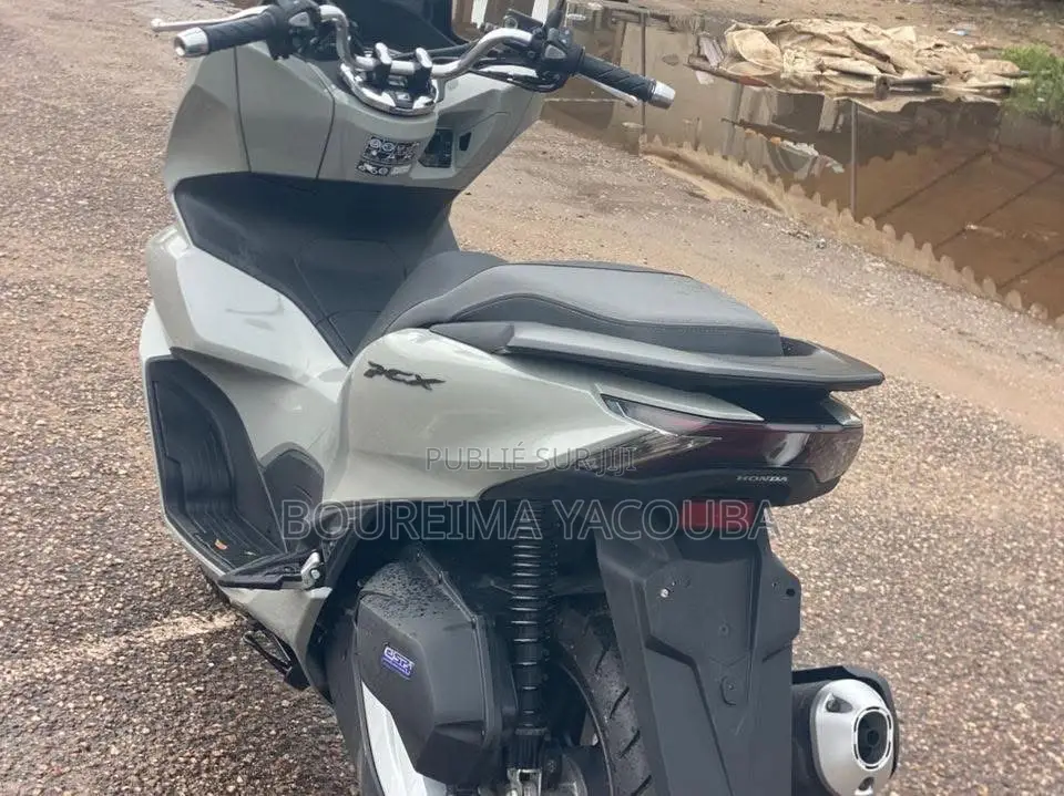New Honda Hornet 2024 Gris
