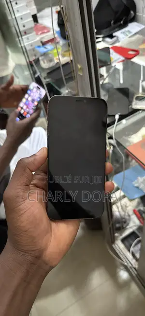 Pomme iPhone 12 Pro 128 GB Bleu