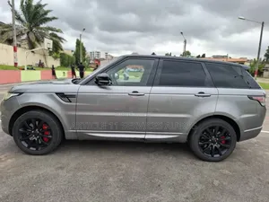 Rover Land 2017 Gris