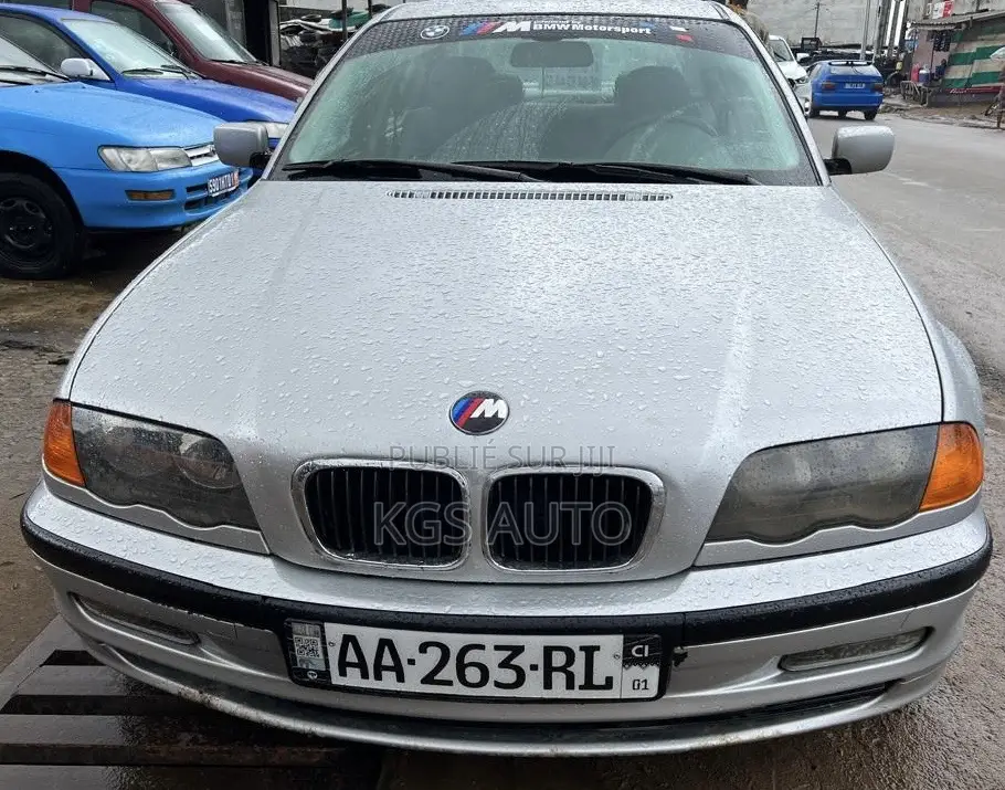 BMW 318i 2004 Gris