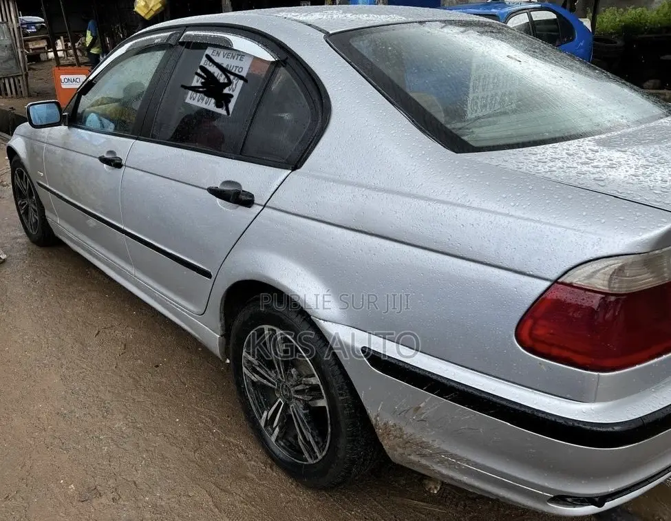 BMW 318i 2004 Gris
