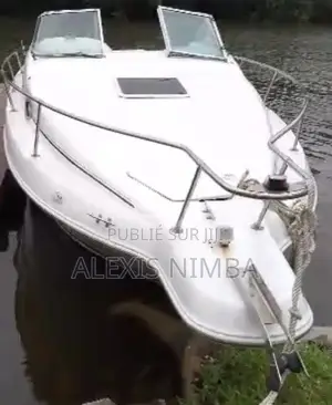 Photo - Bateau 250 Sundancer Vip Vip en Vente