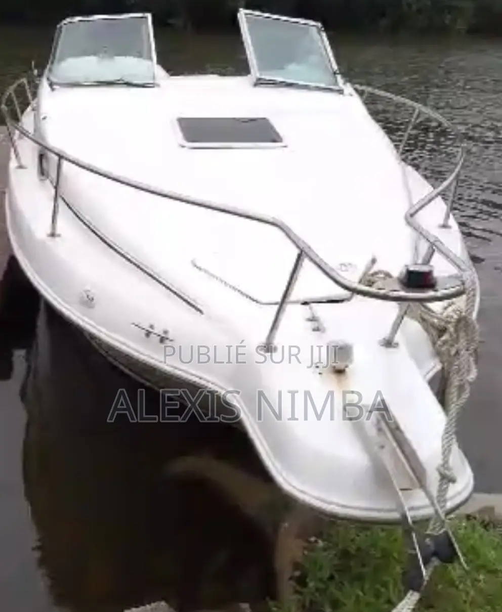 Bateau 250 Sundancer Vip Vip en Vente