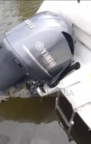 Bateau 250 Sundancer Vip Vip en Vente