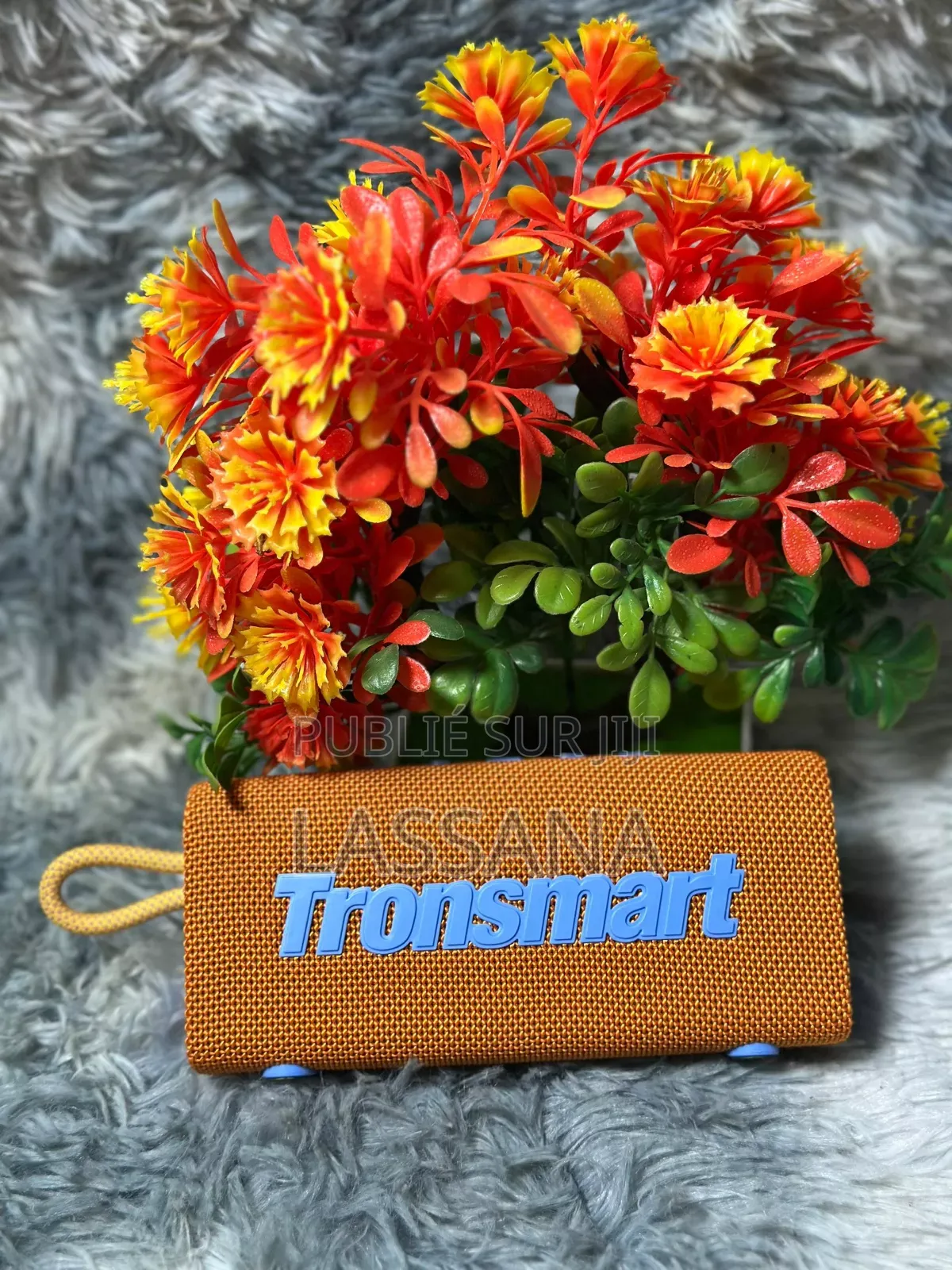 Tronsmart Trip Haut-Parleur Bluetooth
