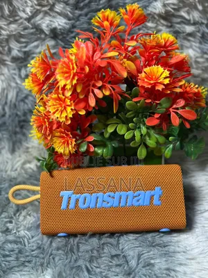 Tronsmart Trip Haut-Parleur Bluetooth