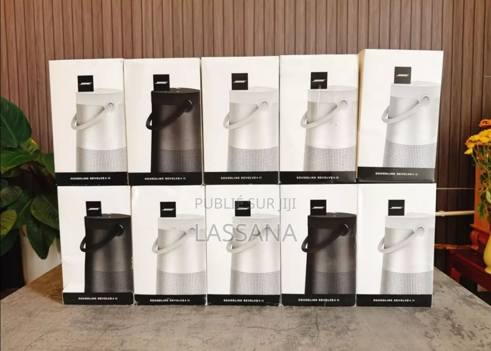 Bose Soundlink Revolve