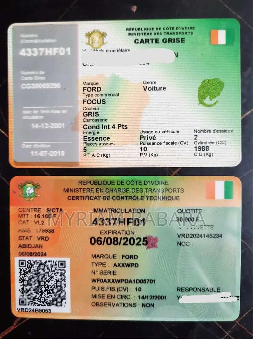 Ford Focus 2001 Gris