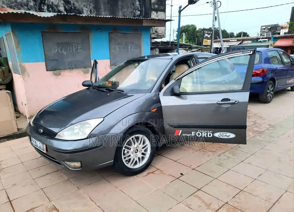 Ford Focus 2001 Gris