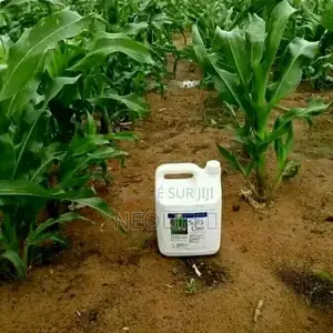 Super Gros ( Engrais Liquide 5l )