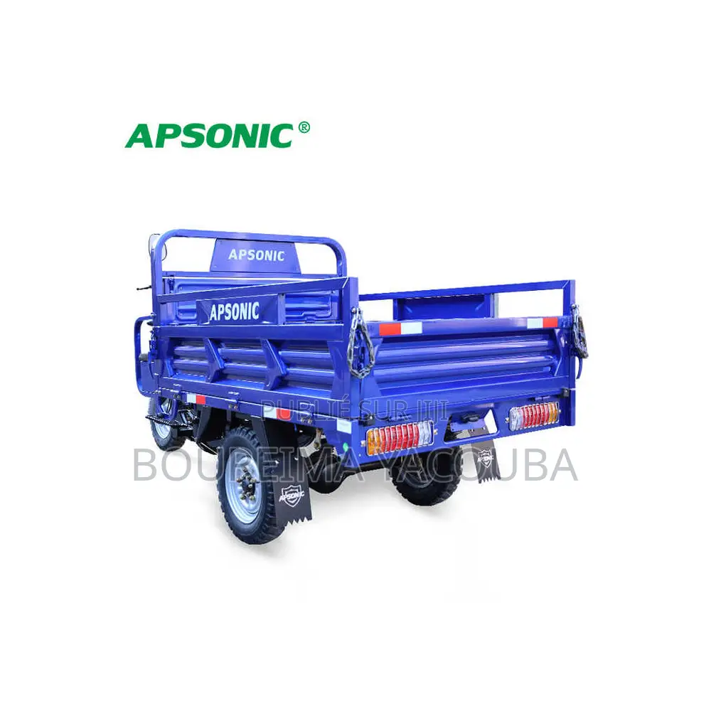 New Apsonic AP150ZH-20 2023 Bleu