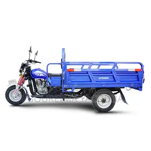 New Apsonic AP150ZH-20 2023 Bleu