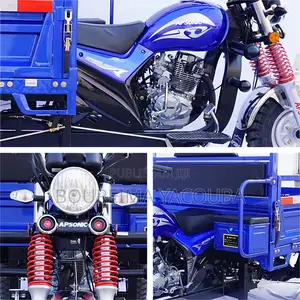 Photo - New Apsonic AP150ZH-20 2023 Bleu