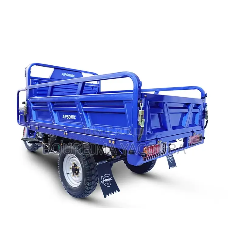 New Apsonic AP150ZH-20 2023 Bleu