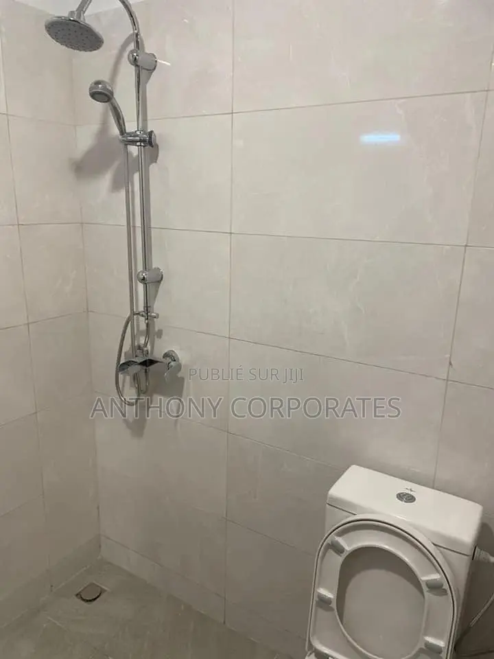 Furnished 1chbre Appartement dans Anthony, Treichville à Louer