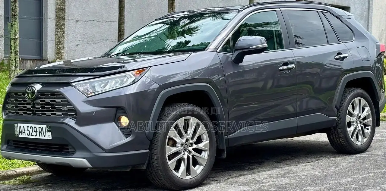 Toyota RAV4 Limited AWD 2020 Gris