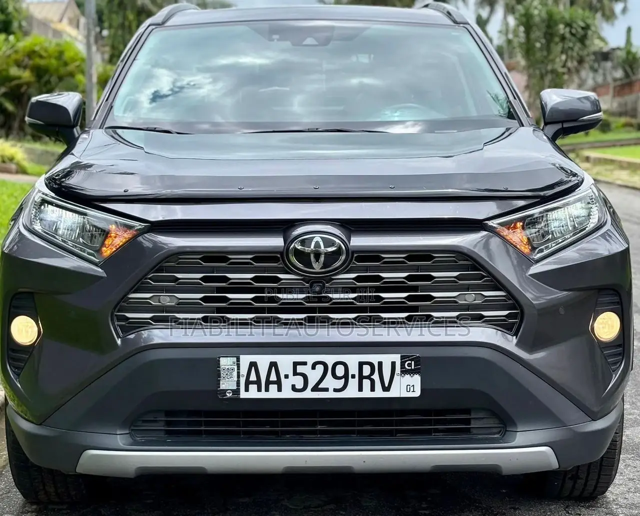 Toyota RAV4 Limited AWD 2020 Gris