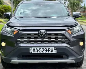 Toyota RAV4 Limited AWD 2020 Gris