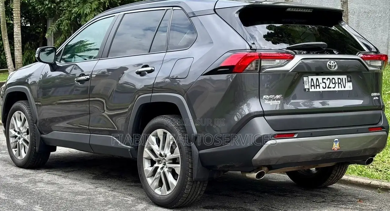 Toyota RAV4 Limited AWD 2020 Gris
