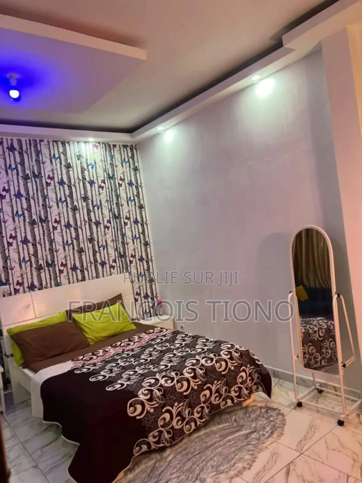 Peintre Et Décorateur Professionnel en Bâtiment