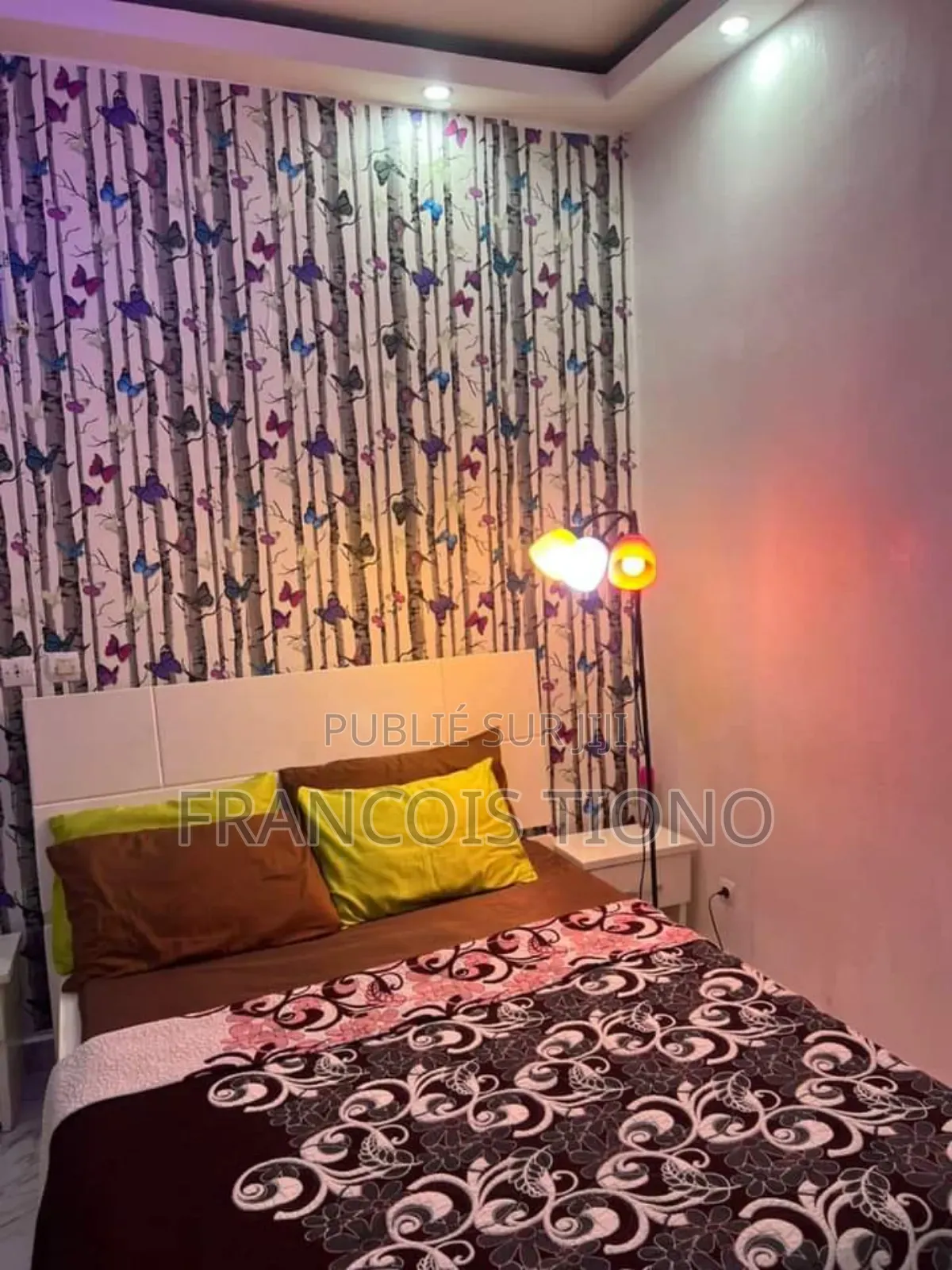 Peintre Et Décorateur Professionnel en Bâtiment