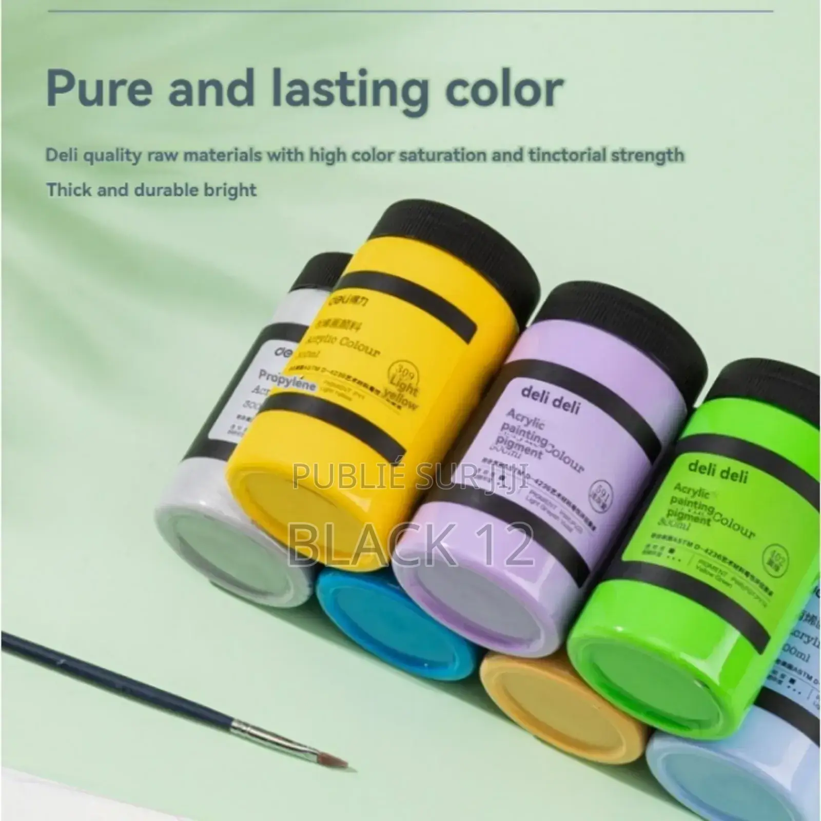 Deli Pigment Acrylique