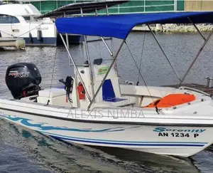 Photo - Bateau Moteur Mercury 115cv 4 Temps en Vente