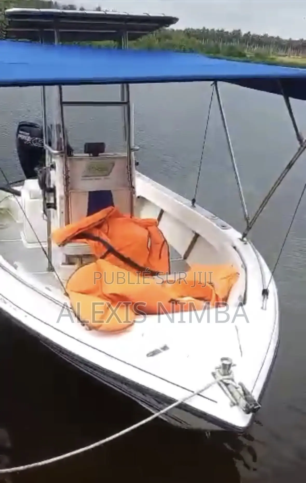 Bateau Moteur Mercury 115cv 4 Temps en Vente