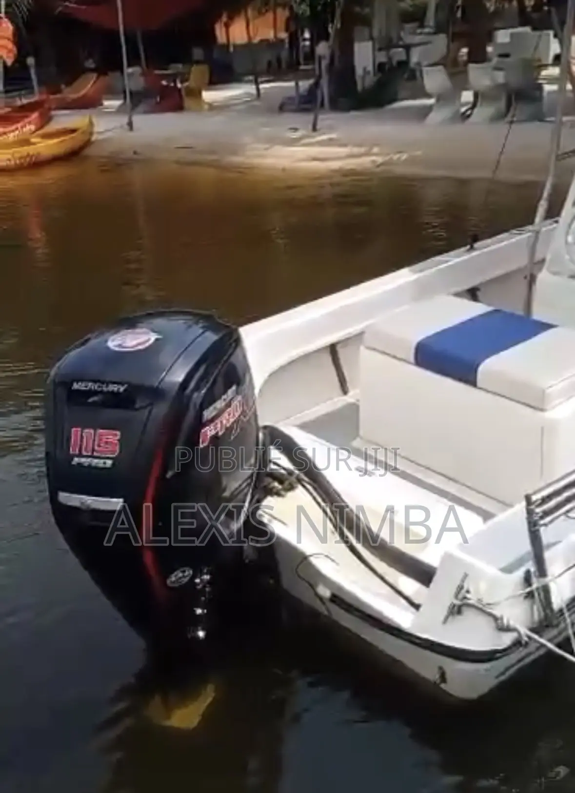 Bateau Moteur Mercury 115cv 4 Temps en Vente