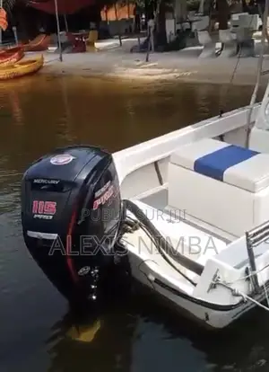 Bateau Moteur Mercury 115cv 4 Temps en Vente