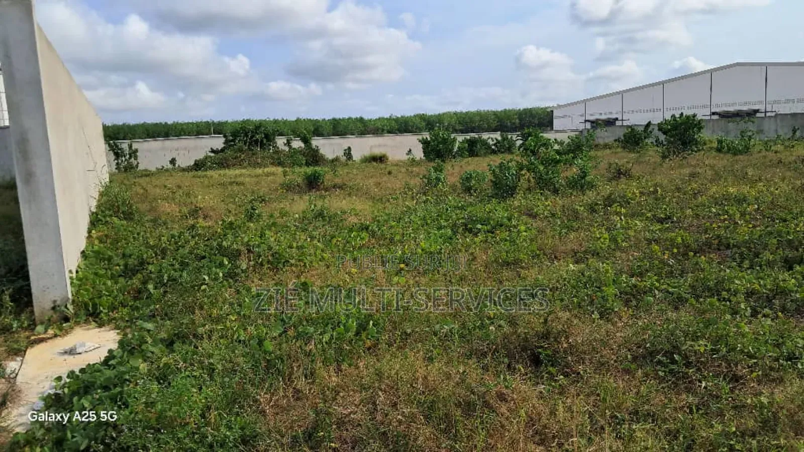 Terrain en Vente