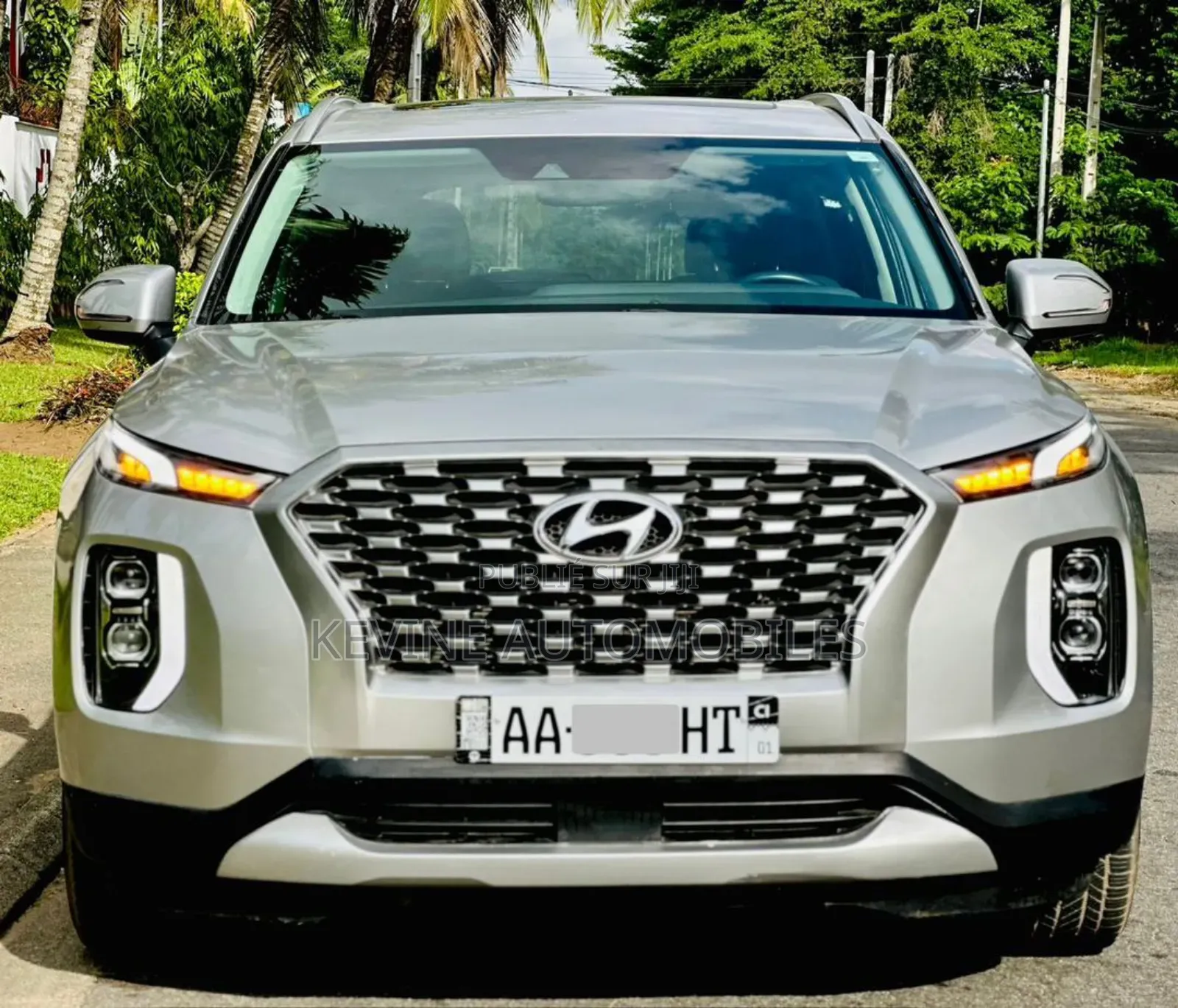 Hyundai Palissade 2022 Autre