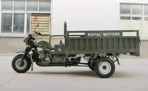Neuf Royale Moto/Vélomoteurs 2019 Vert