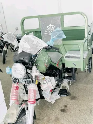 Neuf Royale Moto/Vélomoteurs 2019 Vert