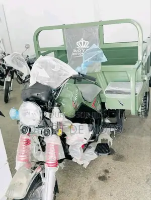 Neuf Royale Moto/Vélomoteurs 2019 Vert