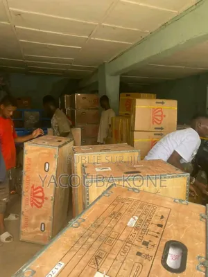 Neuf Royale Moto/Vélomoteurs 2019 Vert