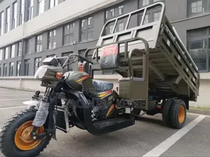 Neuf Apsonic AP150ZH-200 2017 Autre