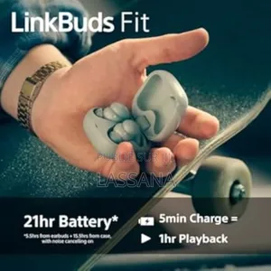 Photo - Sony Linkbudsfit